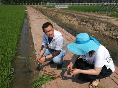倍丰集团农化服务中心主任朱有利:扎根农田13年的“土地专家”