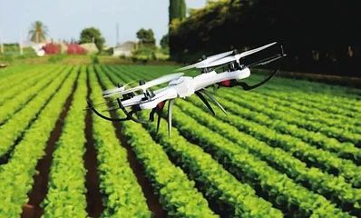 人工智能在农业的应用